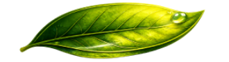 Leaf Badge
